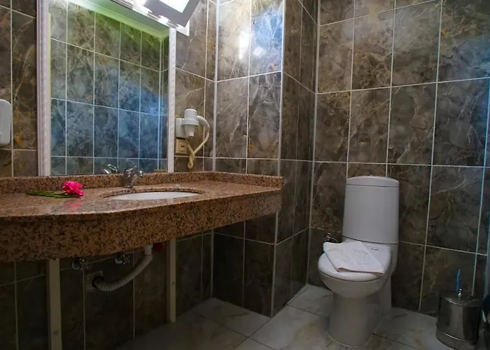 Smile Hotel فندق